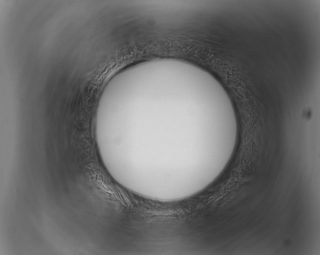X0000116370144200912021018