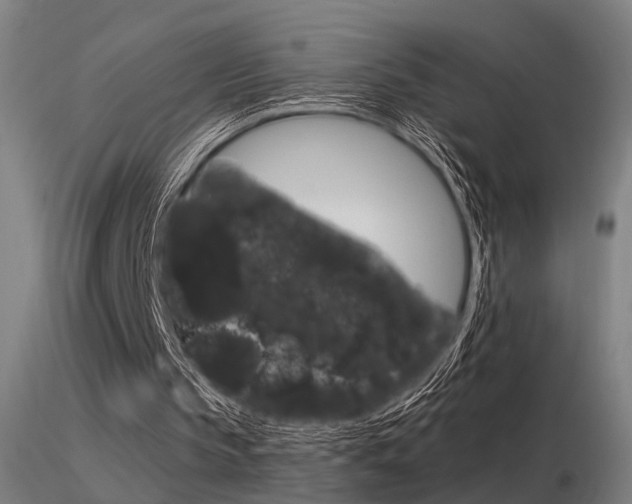 X0000116370145200912021018