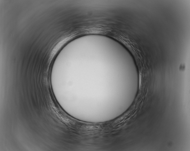 X0000116370147200912021018