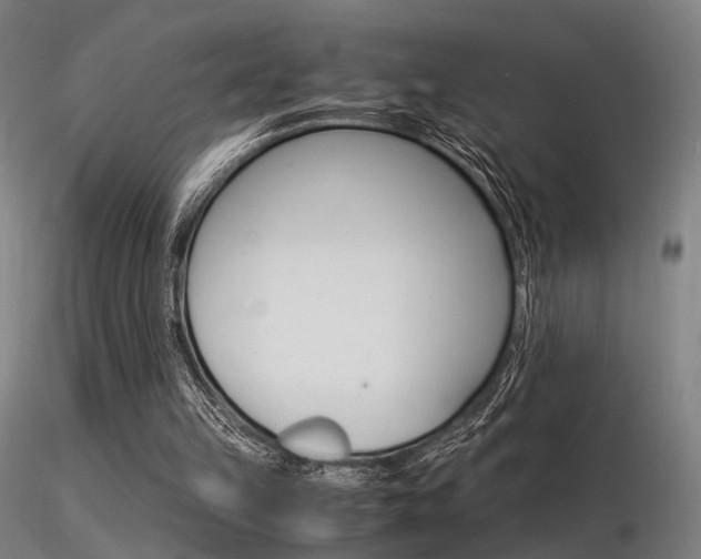 X0000116370149200912021018