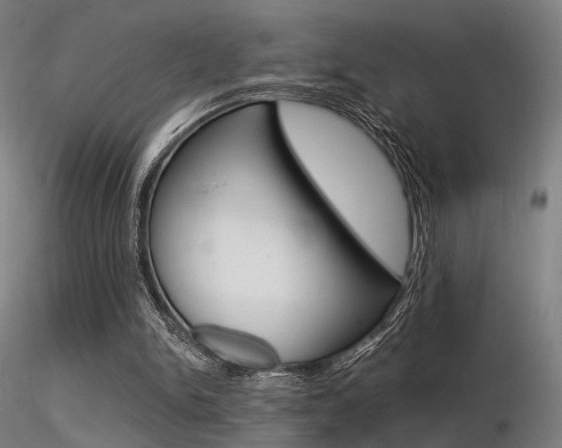 X0000116370150200912021018