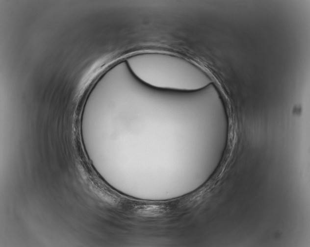 X0000116370151200912021018
