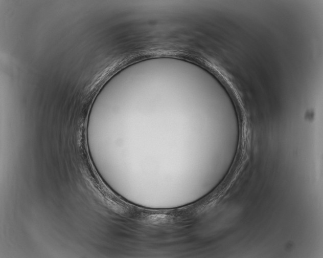 X0000116370153200912021018