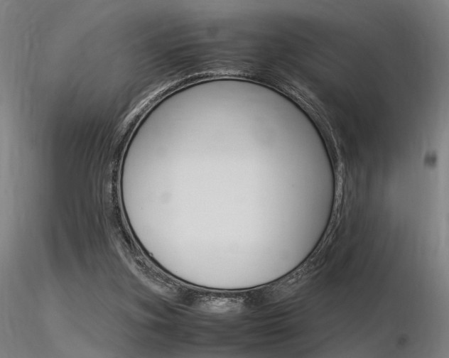 X0000116370155200912021018