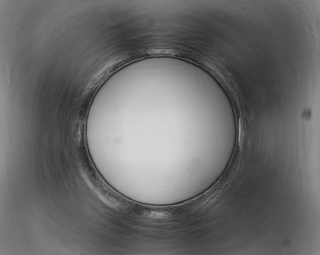 X0000116370157200912021018