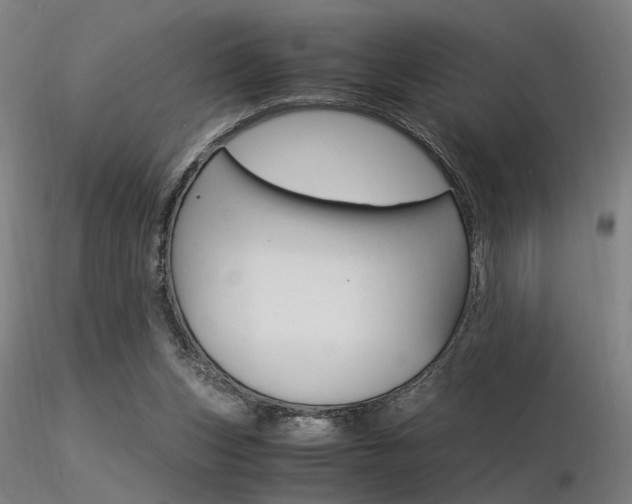 X0000116370159200912021018