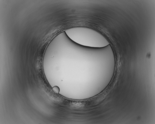 X0000116370161200912021018