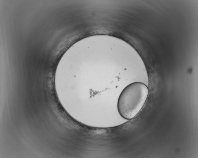 X0000116370162200912021018