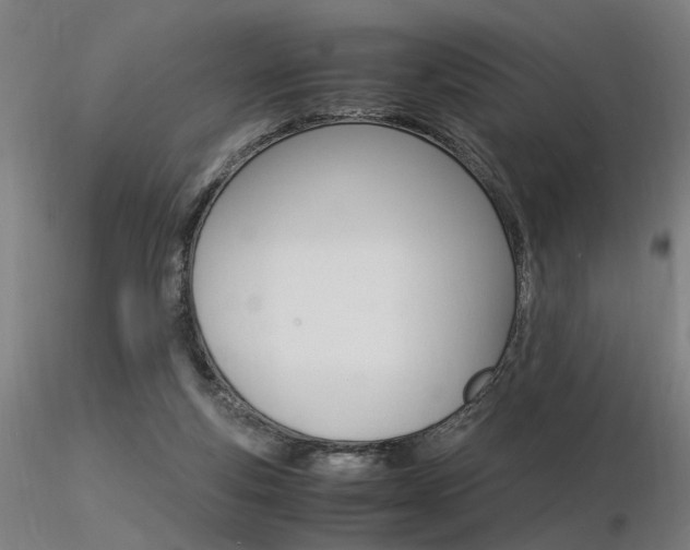 X0000116370163200912021018
