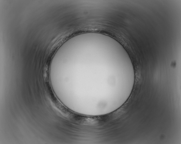 X0000116370166200912021018