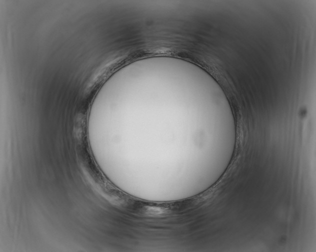 X0000116370167200912021018