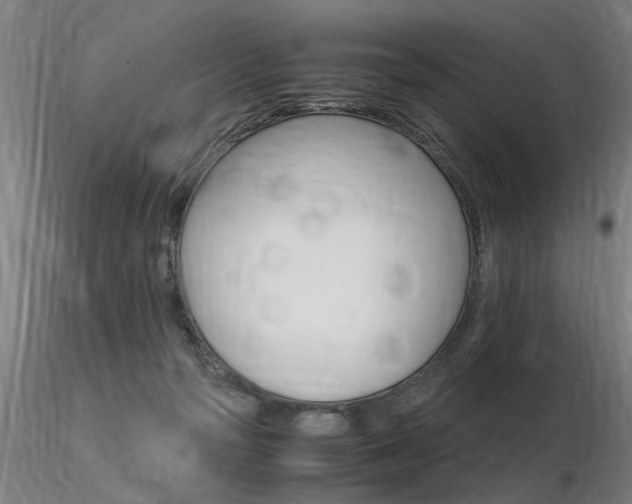 X0000116370169200912021018