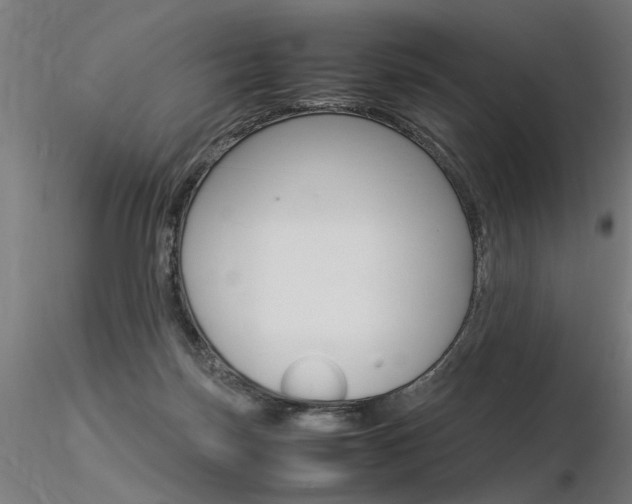 X0000116370171200912021018