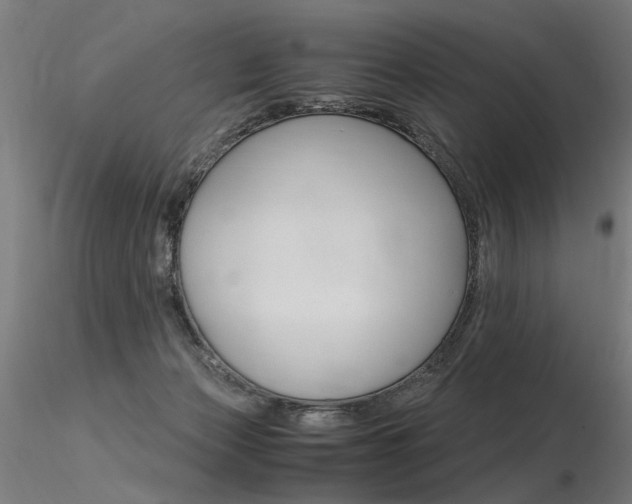 X0000116370173200912021018