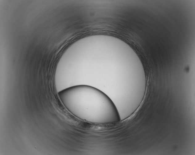 X0000116370174200912021018