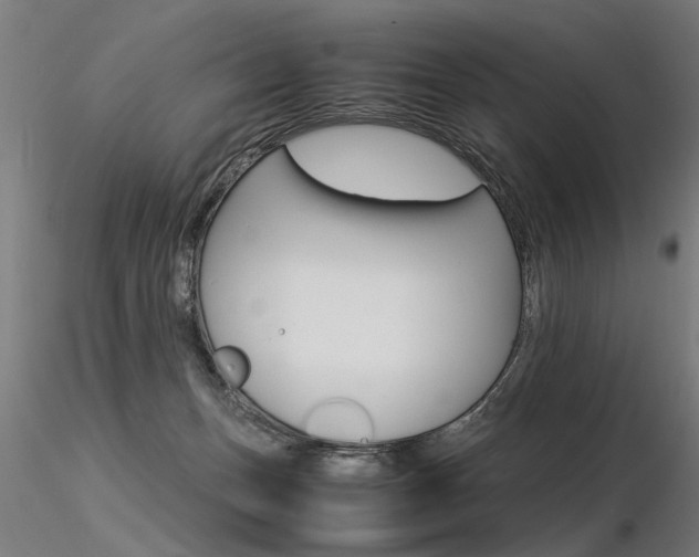 X0000116370175200912021018