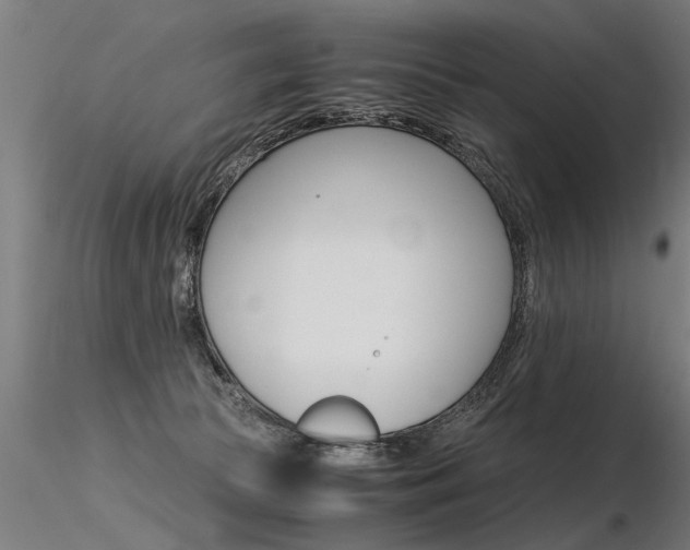 X0000116370177200912021018