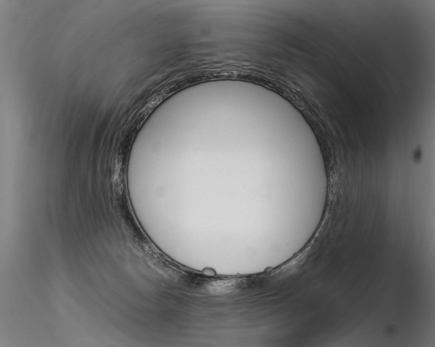 X0000116370178200912021018