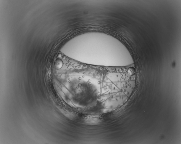 X0000116370179200912021018