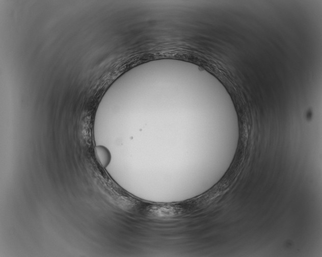 X0000116370181200912021018