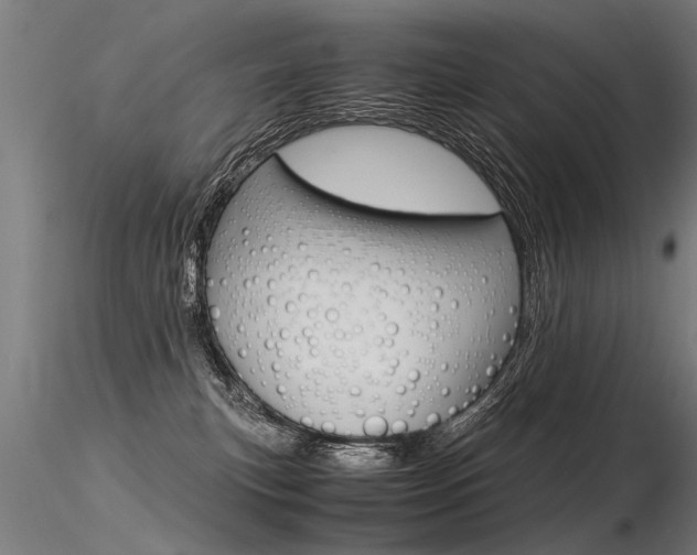 X0000116370183200912021018