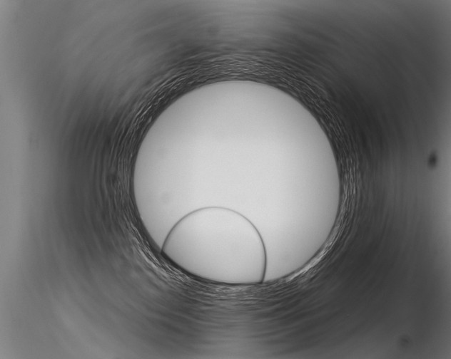 X0000116370186200912021018
