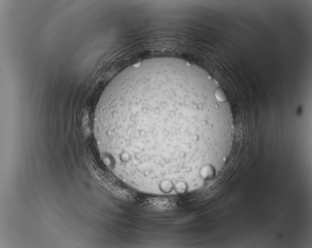 X0000116370187200912021018