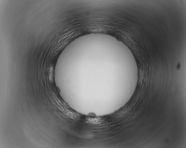 X0000116370189200912021018