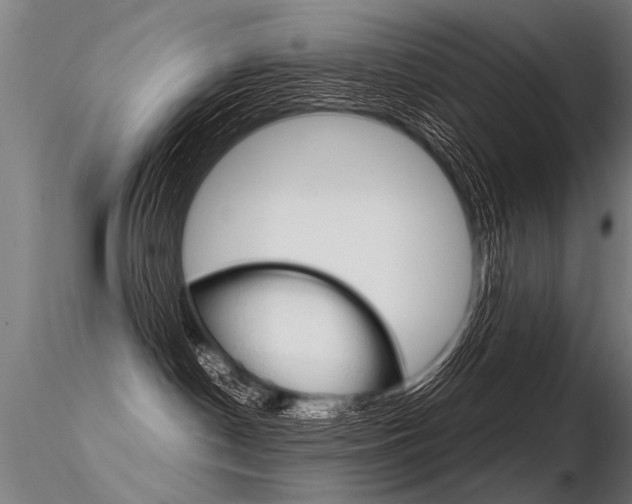 X0000116370190200912021018