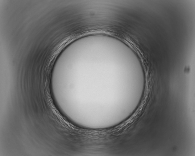 X0000116370193200912021018