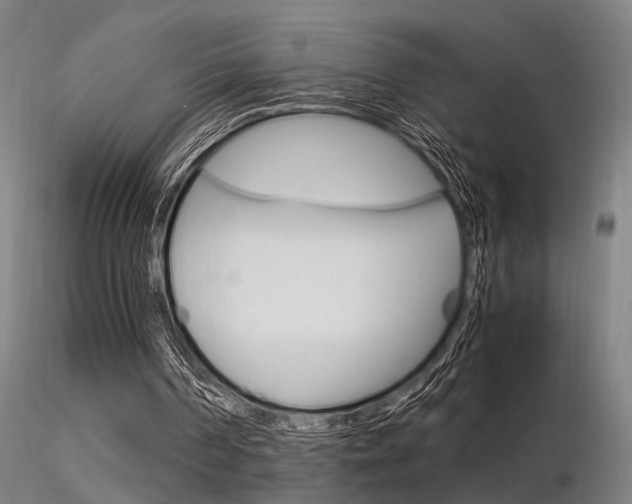 X0000116370194200912021018
