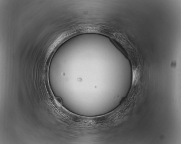 X0000116370195200912021018