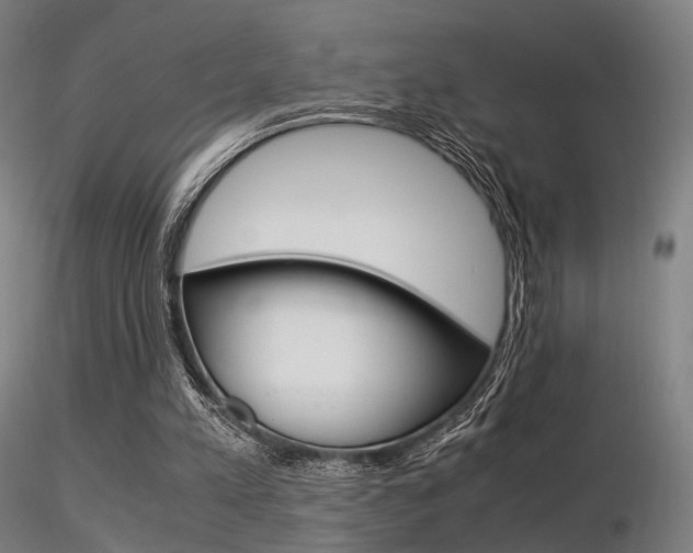 X0000116370197200912021018