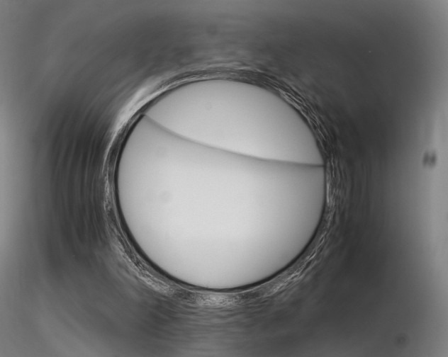 X0000116370198200912021018