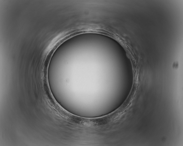 X0000116370199200912021018