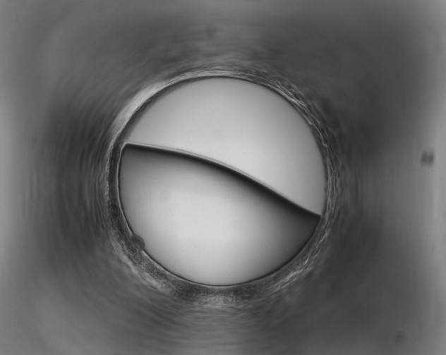 X0000116370200200912021018