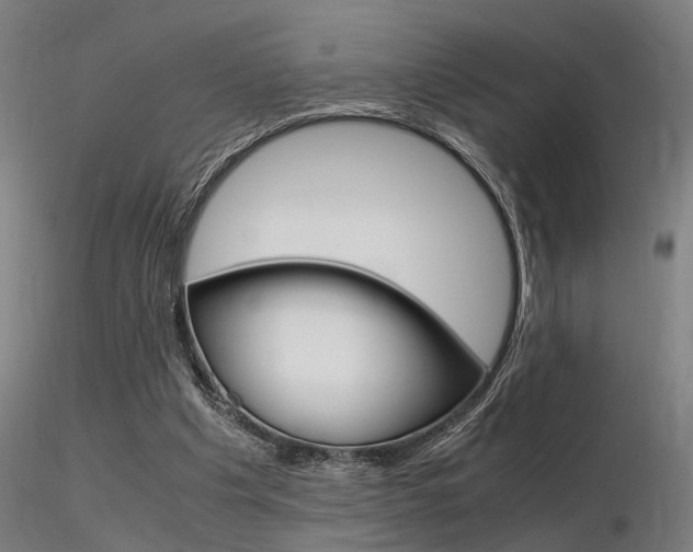 X0000116370201200912021018