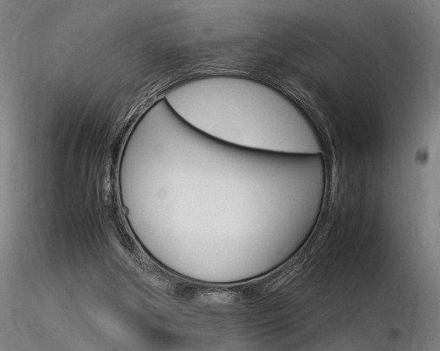 X0000116370202200912021018