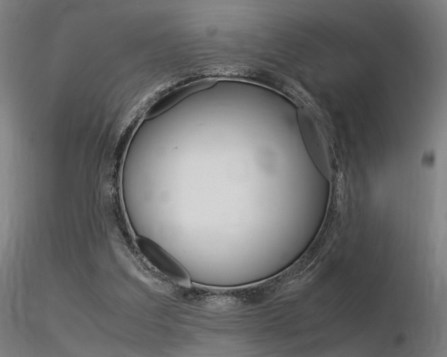X0000116370203200912021018