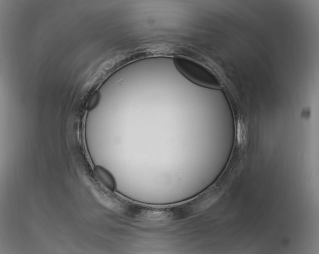 X0000116370205200912021018