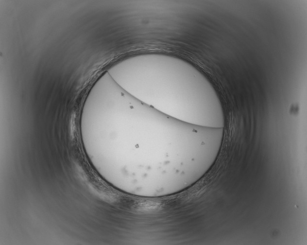 X0000116370206200912021018