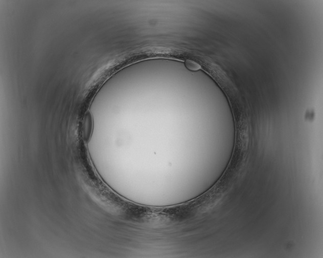 X0000116370207200912021018