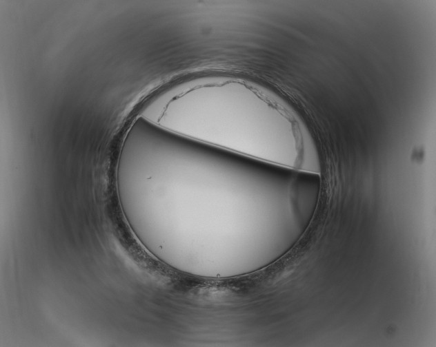 X0000116370208200912021018