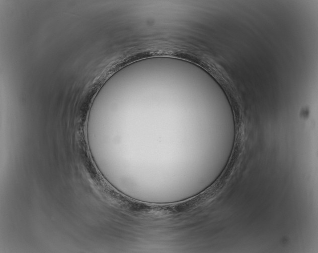 X0000116370209200912021018