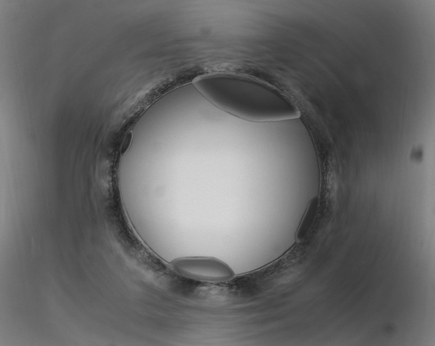 X0000116370211200912021018