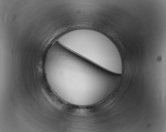 X0000116370212200912021017