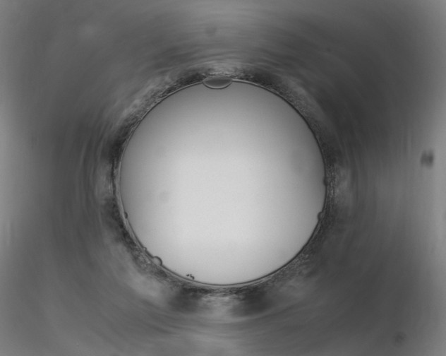 X0000116370213200912021017
