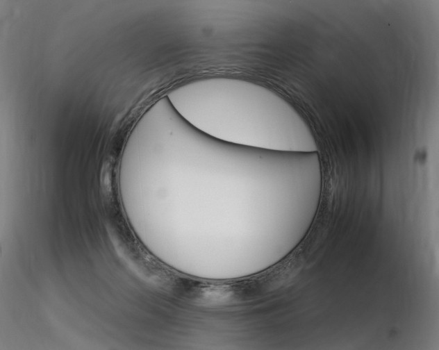X0000116370214200912021017