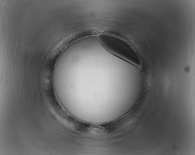 X0000116370215200912021017