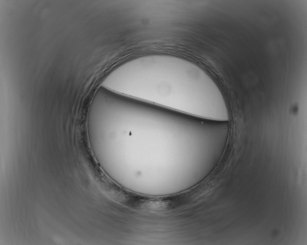 X0000116370217200912021017